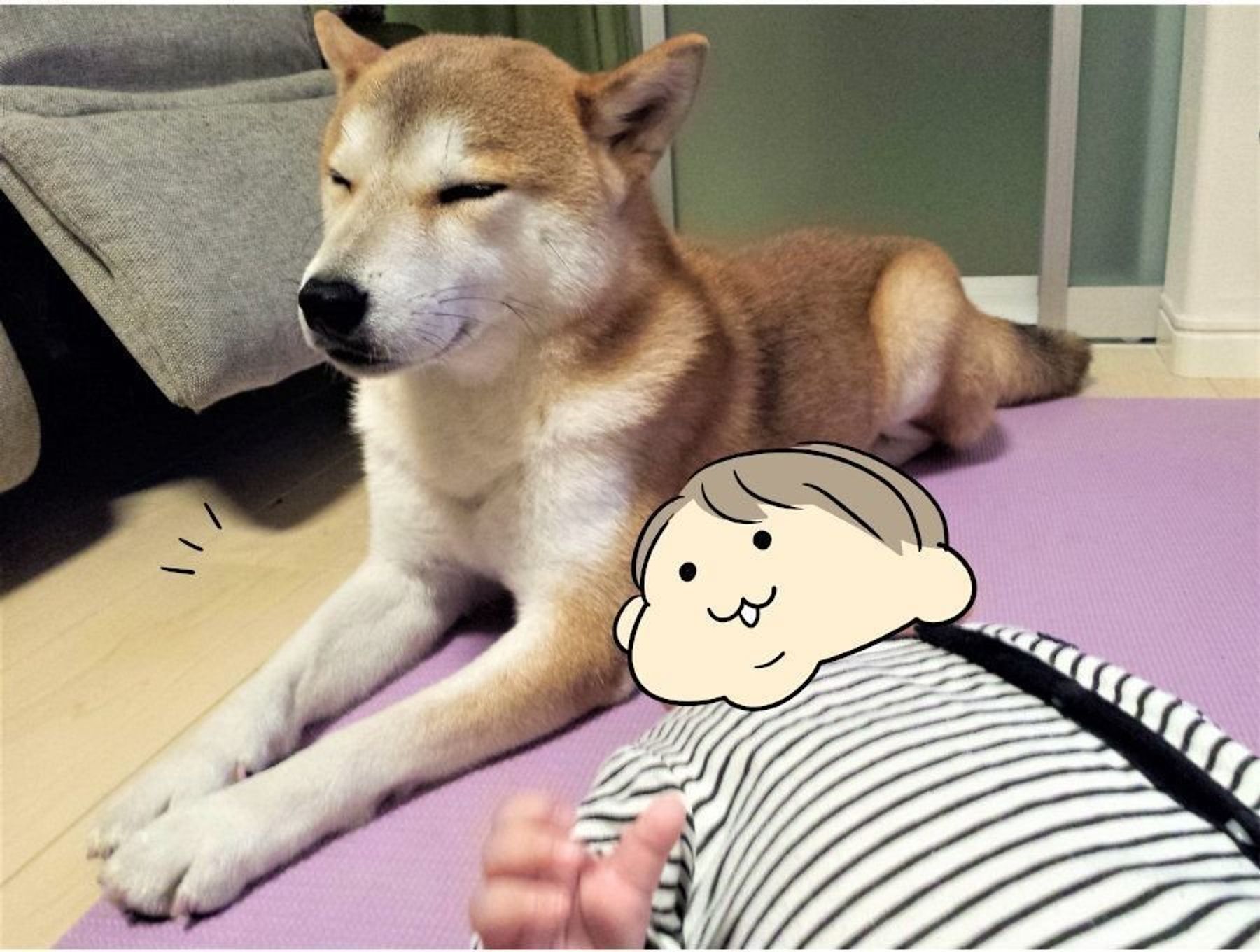 細マッチョ柴犬タロさんと娘の癒されポイント 連載 モフモフ柴とプニプニ娘 第7話 いぬのきもちweb Magazine 細マッチョ柴犬タロさんと娘の癒されポイント 連載 モフモフ柴とプニプニ娘 第7話 いぬのきもちweb Magazine