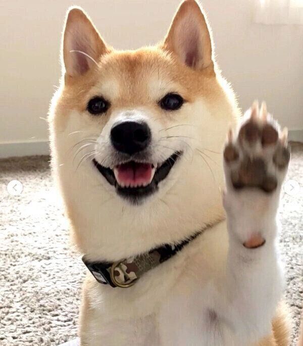 ハイタッチする福来くん