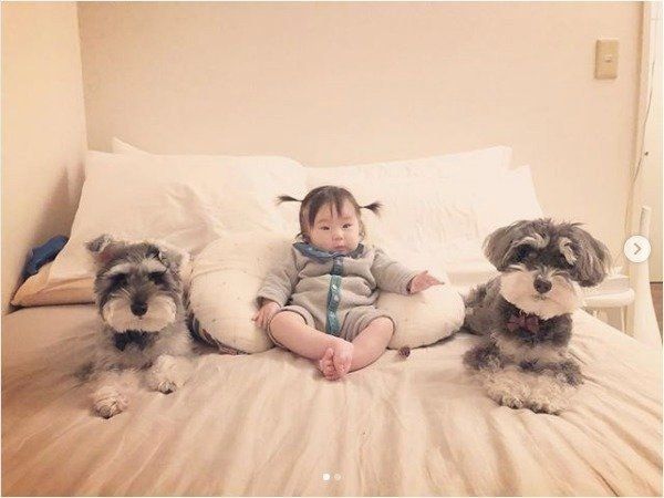 赤ちゃんに寄り添うミニチュア・シュナウザー