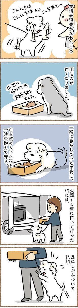 連載「こぐま犬てんすけ」