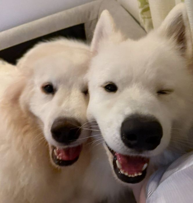 「楽しい!」が伝わってくるような表情をするうるるくん、お嬢ちゃん