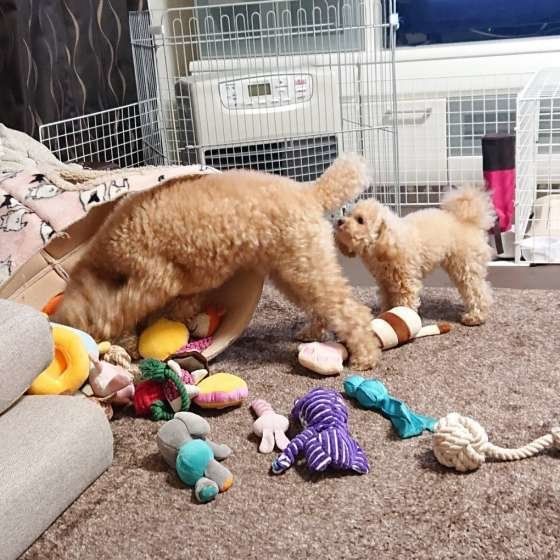 ただ今、においチェック中!