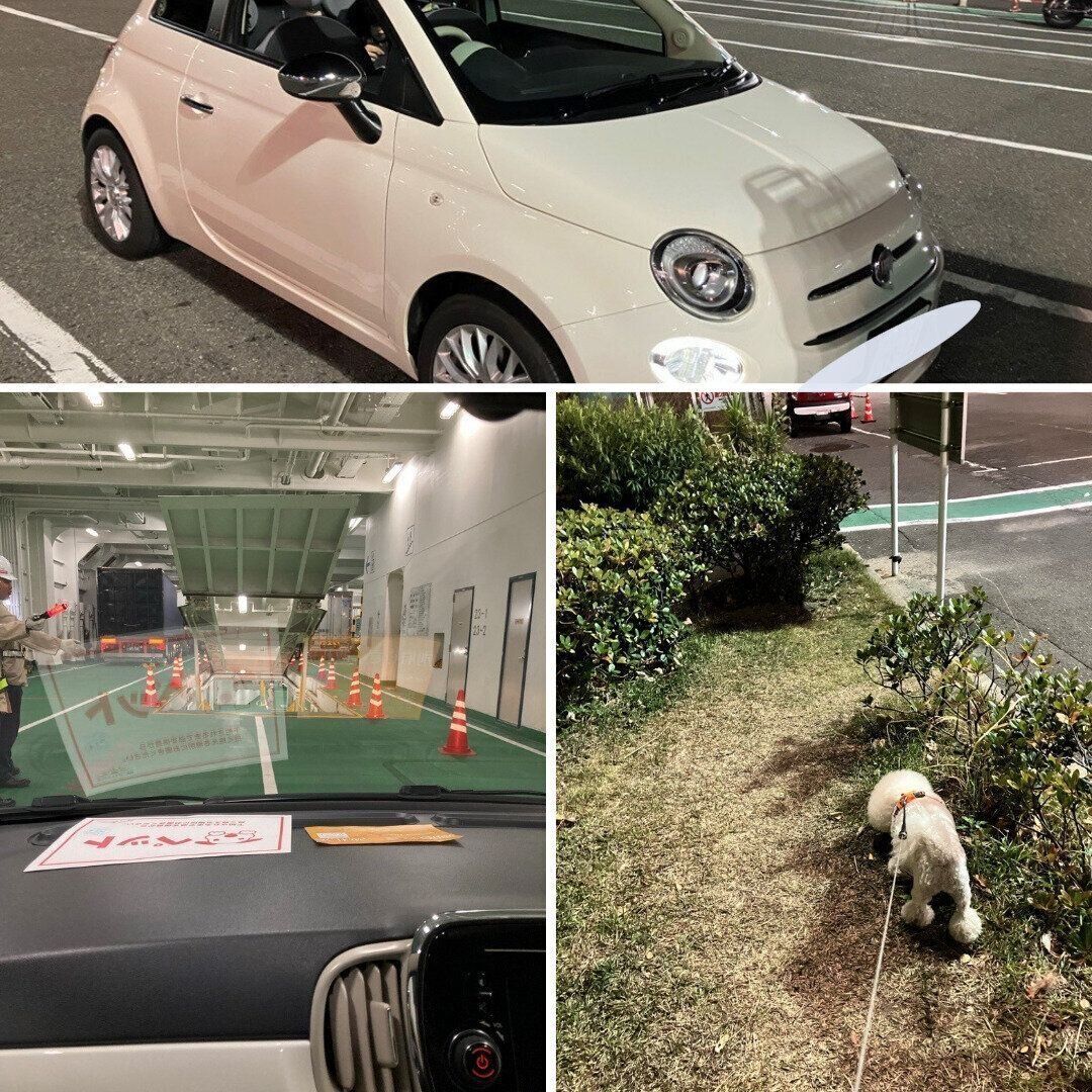 車で移動できるので便利！　大阪港では出港前にお散歩できるスペースも！