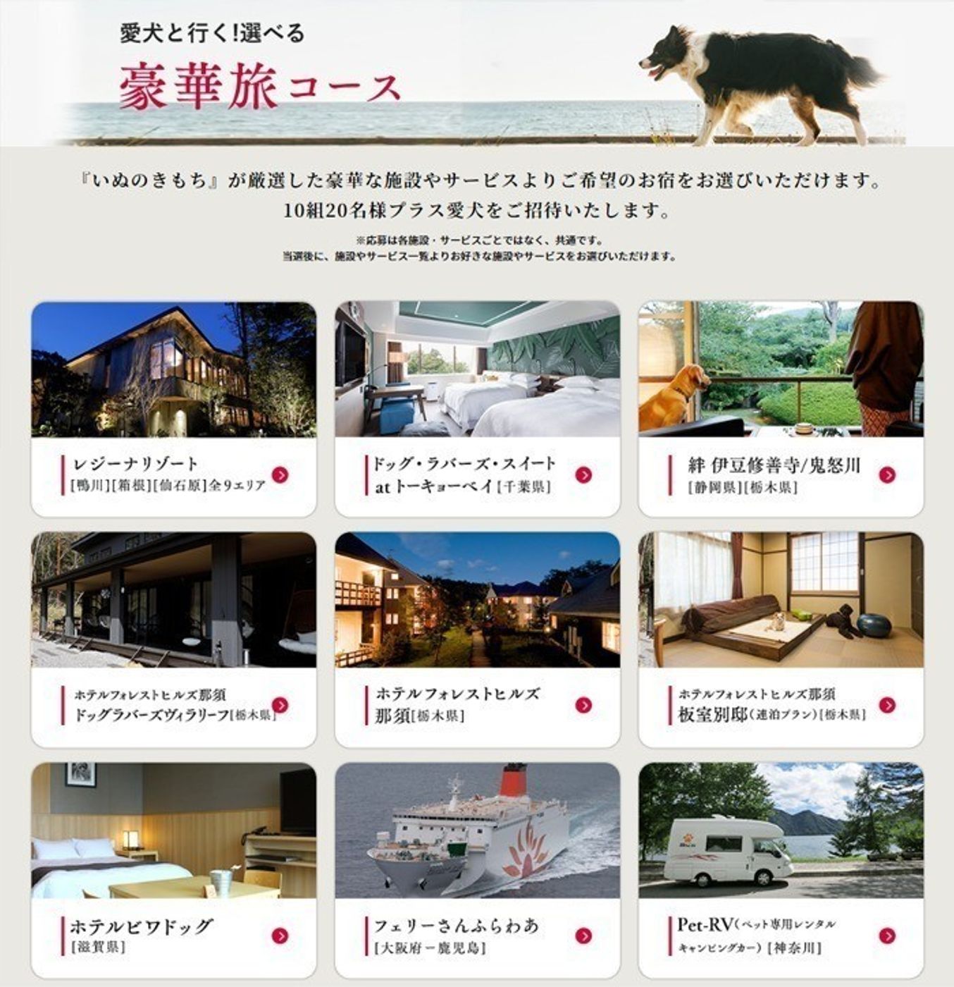 いぬのきもち ねこのきもち無料lineスタンプ配信中 9 3まで いぬのきもちweb Magazine いぬのきもち ねこのきもち無料lineスタンプ配信中 9 3まで いぬのきもちweb Magazine