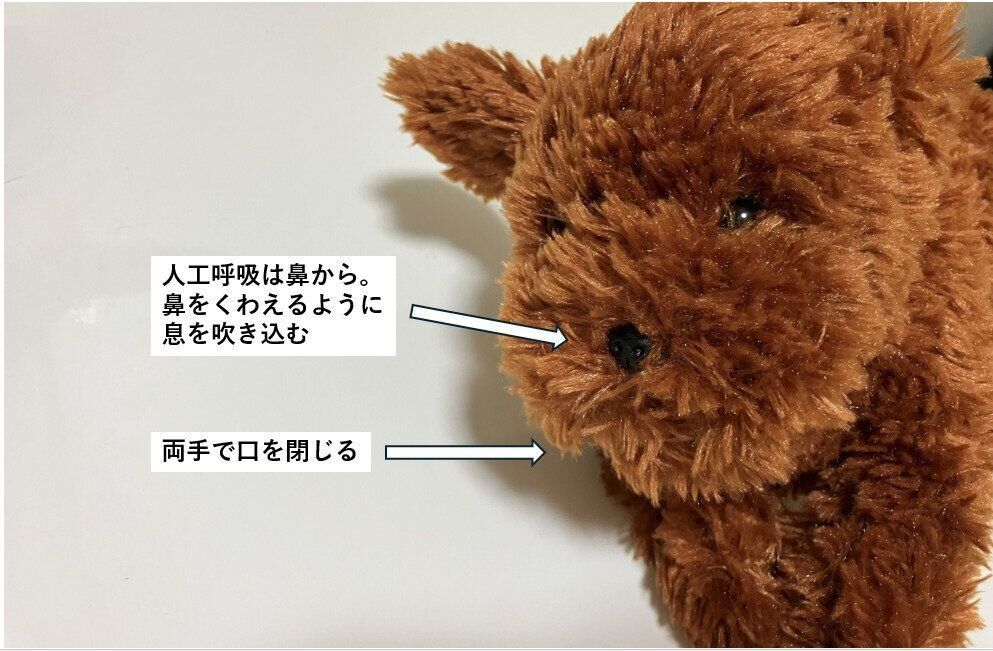 人工呼吸は口ではなく鼻へ