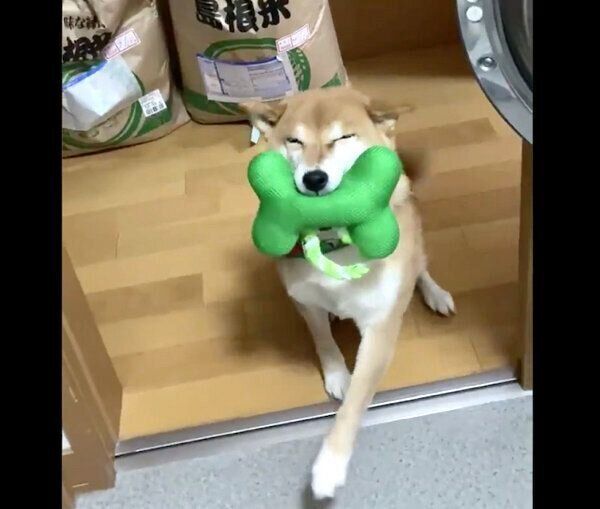 笑顔でアピールするすずちゃん