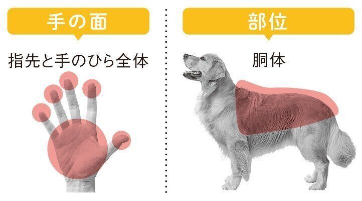 使う手の面となでる部位