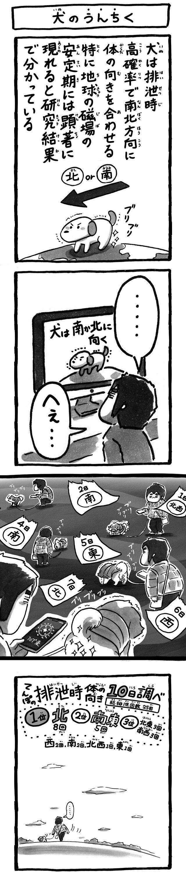 シーズー犬マンガてんぽshihtzu