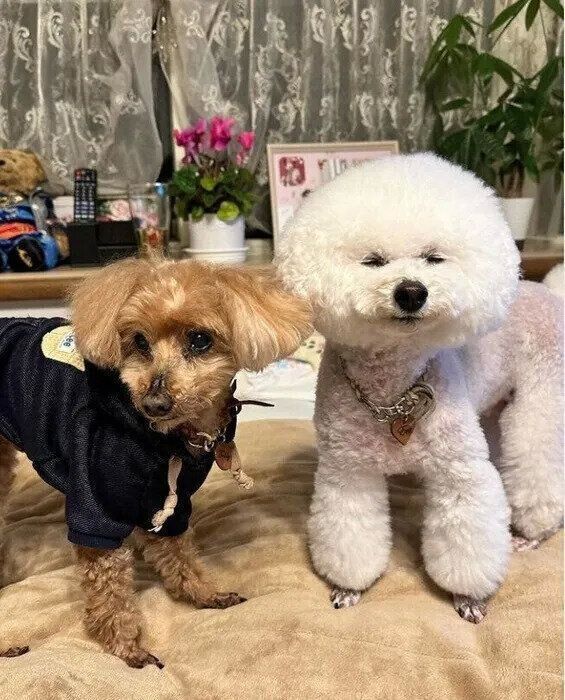 珍しいというテディくんとの2ショット