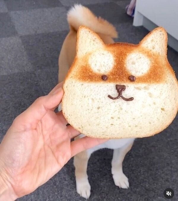 「ねこねこ食パン」を見つめるすずちゃん