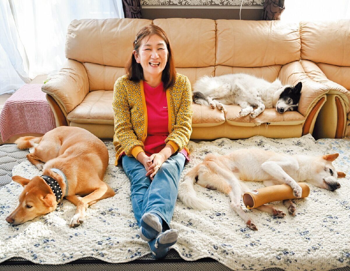 清永さん宅２階のリビングは家族と犬たちがくつろぐスペースに。向かって左は愛犬のエルくん（８才）、右はせんべえくん。ソファの上には愛犬の千代ちゃん（11才）が