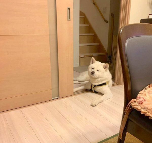 ふてくされる任三郎くん