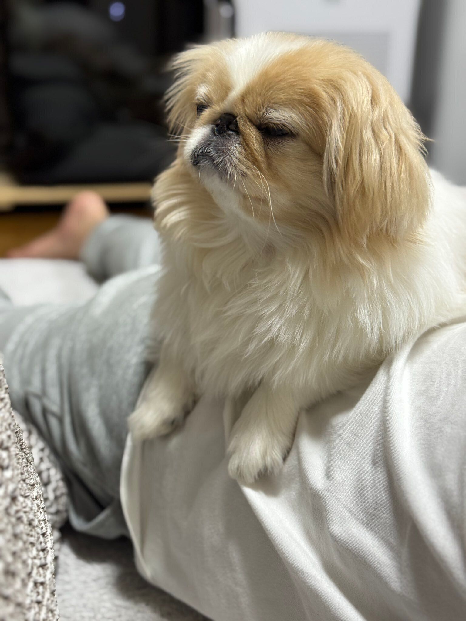 甘えん坊さんだというみろくん