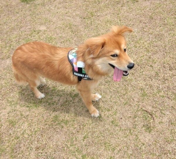 楽しそうなエスちゃん