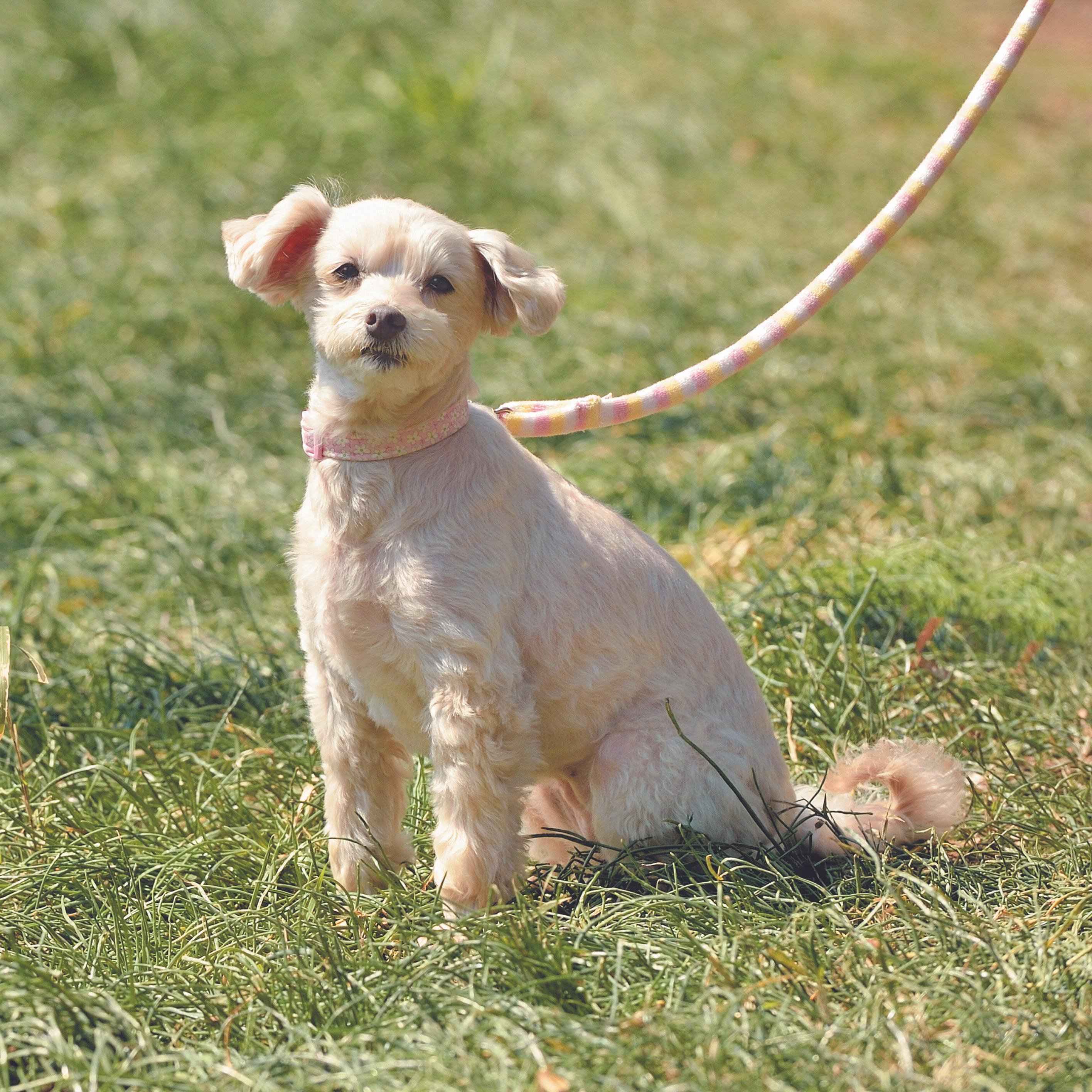 撮影／佐藤正之