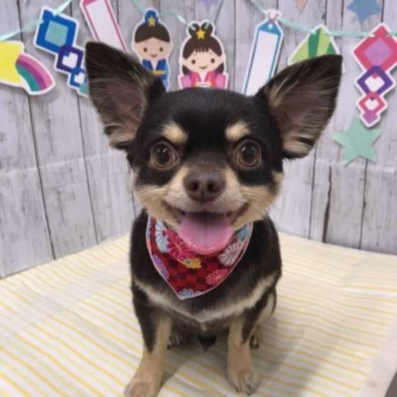 笑顔のわんこ♪