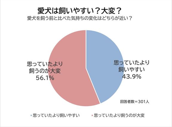 Q. 柴は飼いやすい?思ったより大変?