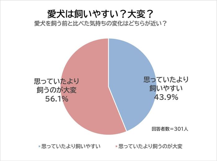 愛犬は飼いやすい?大変?