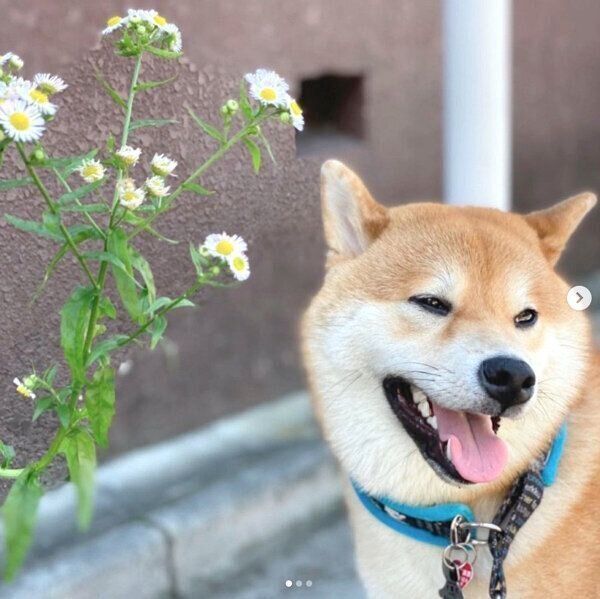 笑顔のじろちゃん