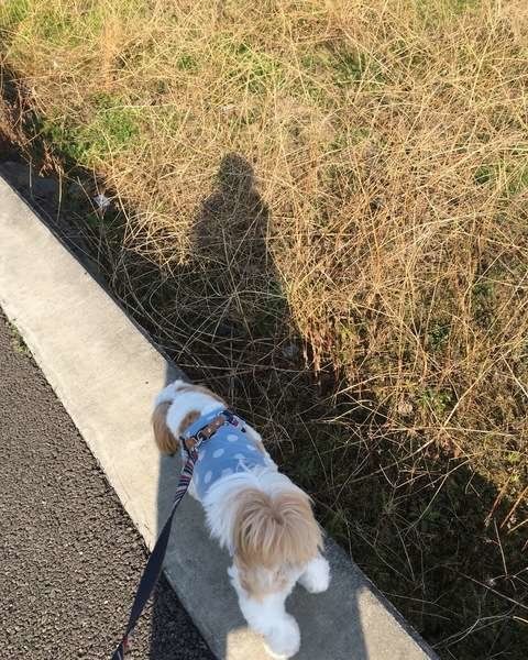 端を歩く　あんじゅくん