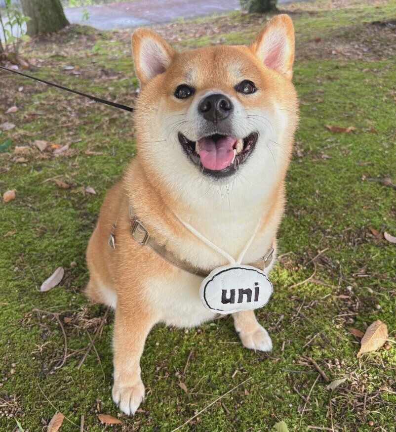 笑顔を見せるうにちゃん