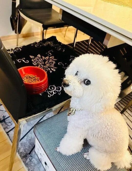 ママの顔をチラッ!