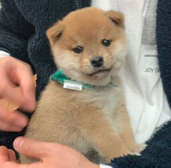 初めて出会った日のこたろうくん
