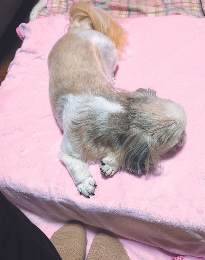 私のときは反応が……