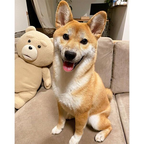 笑顔のこはくちゃん