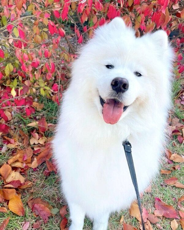 笑顔が可愛いSoyちゃん