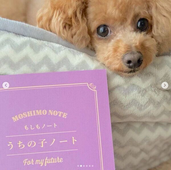 ダイソーの「もしもノート『うちの子ノート』」