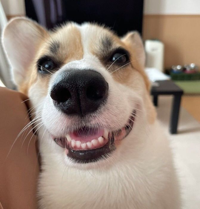 可愛らしい表情をするRenくん