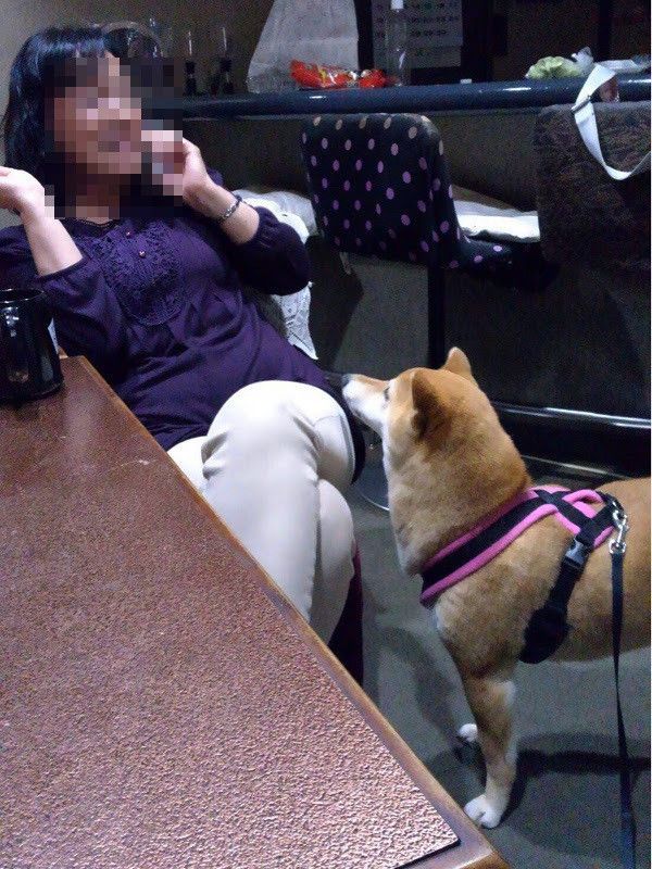 水割りをください