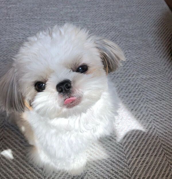 寝起きのたむたむくん