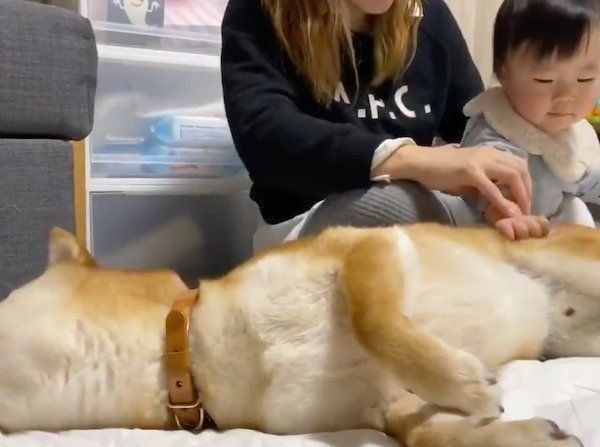 撫で加減をチェックするりんご郎くん