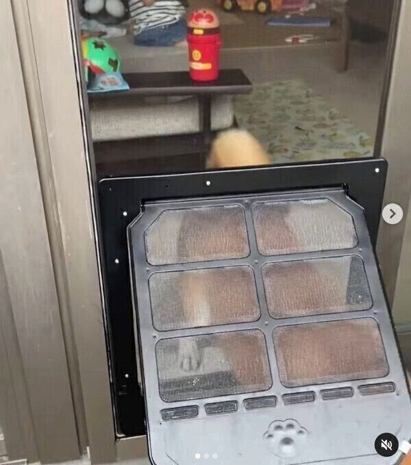 専用出入り口から外に出るこたろうくん