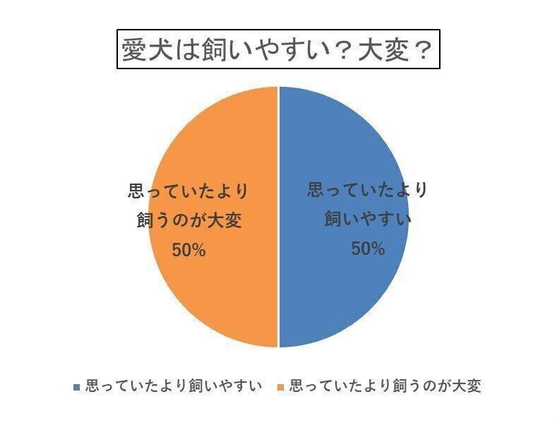愛犬は飼いやすい？大変？