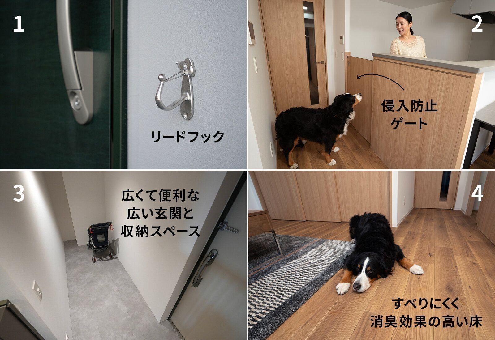 フジタ　大和リビング　リーラ横浜川和町　月次健診　犬猫合わせて4頭　マンション　賃貸マンション　いぬのきもち　いぬ　すべりにくい床　侵入防止ゲート　リードフック