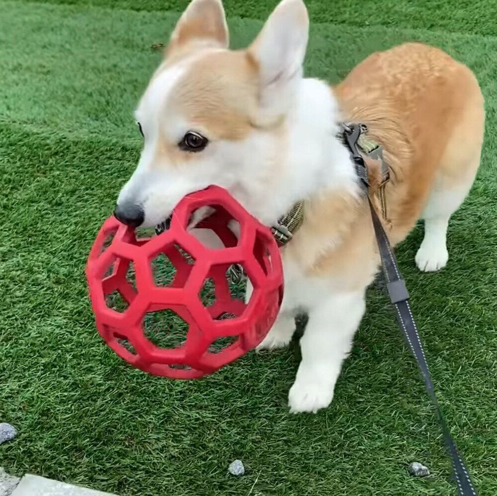 帰りたくないノエちゃん