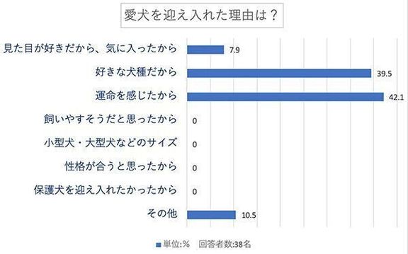 愛犬を迎え入れた理由は?