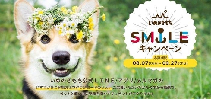 いぬのきもちスマイルプレゼント