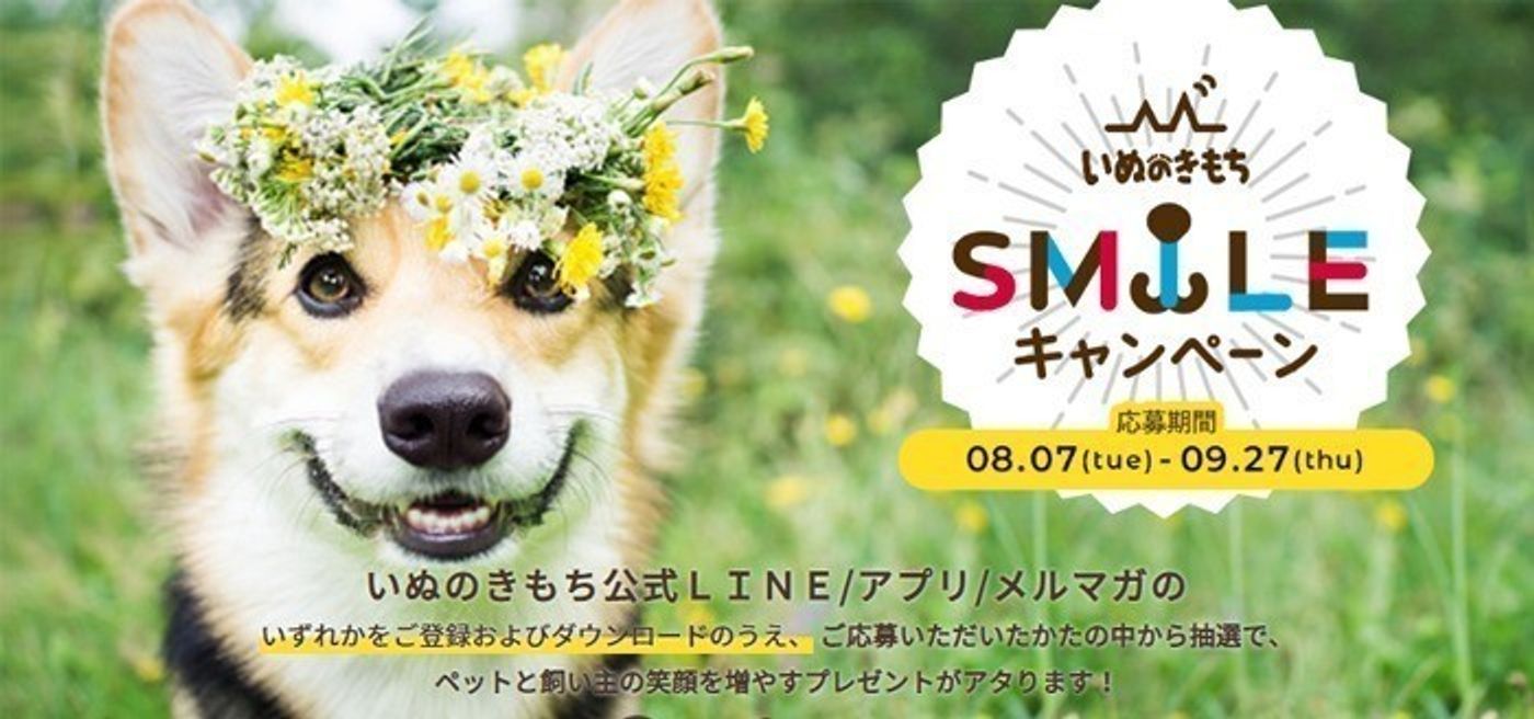 いぬのきもち ねこのきもち無料lineスタンプ配信中 9 3まで いぬのきもちweb Magazine いぬのきもち ねこのきもち無料lineスタンプ配信中 9 3まで いぬのきもちweb Magazine