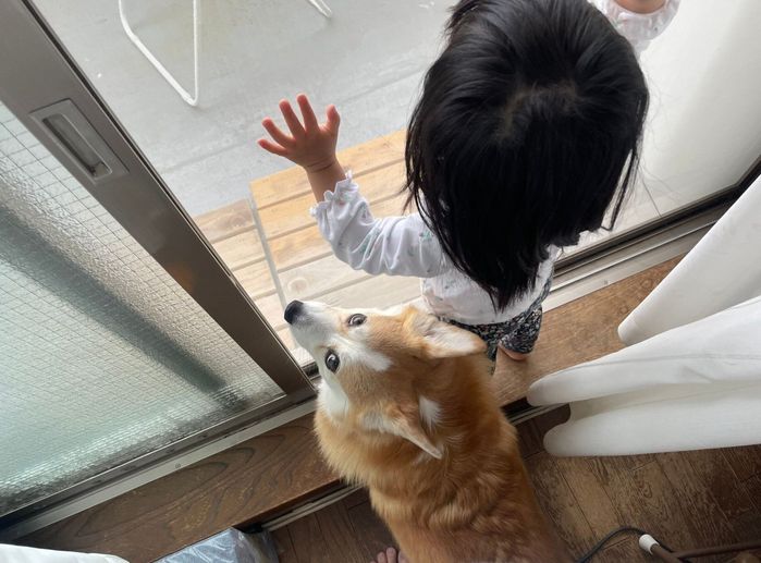 ムギちゃんと一緒に外を見る娘さん