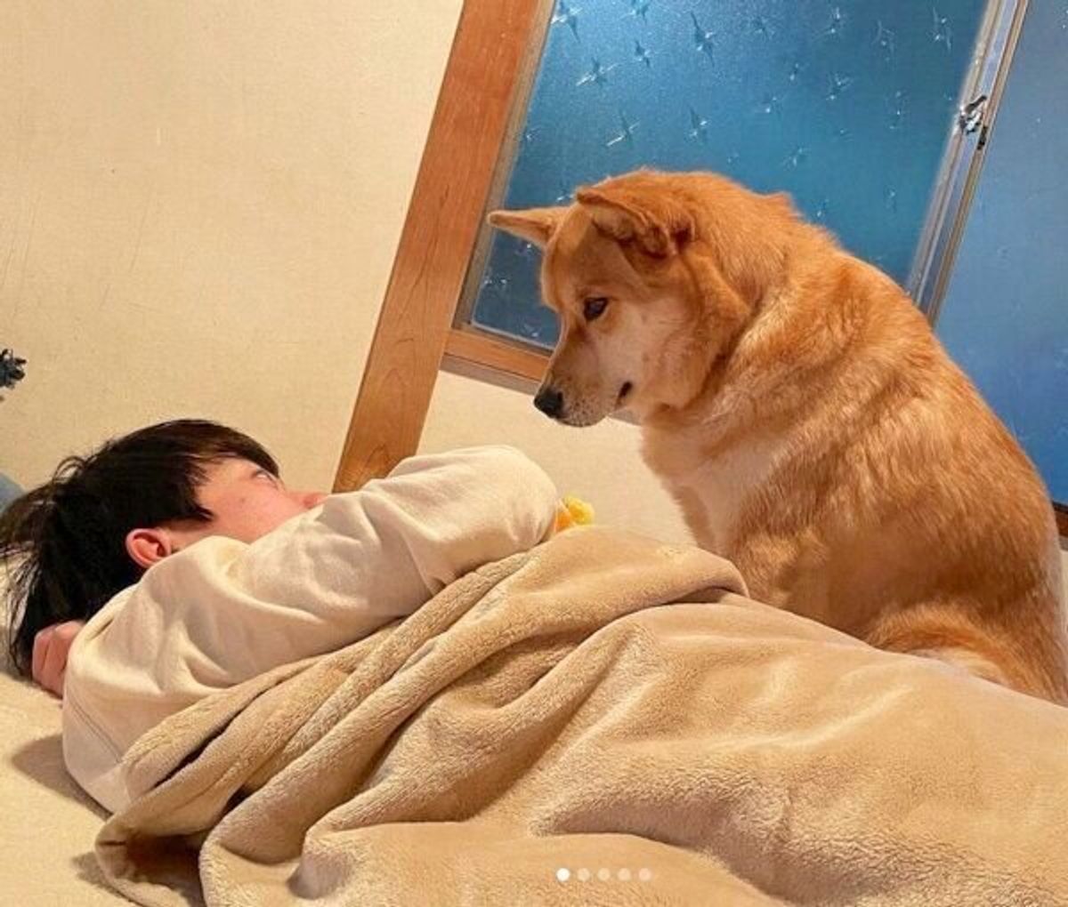 立ちクンニ gif ねえ、遊ぶ?」勉強をひと休み中の次男くんに“かまっての圧”をかける犬(笑)|いぬのきもちWEB MAGAZINE