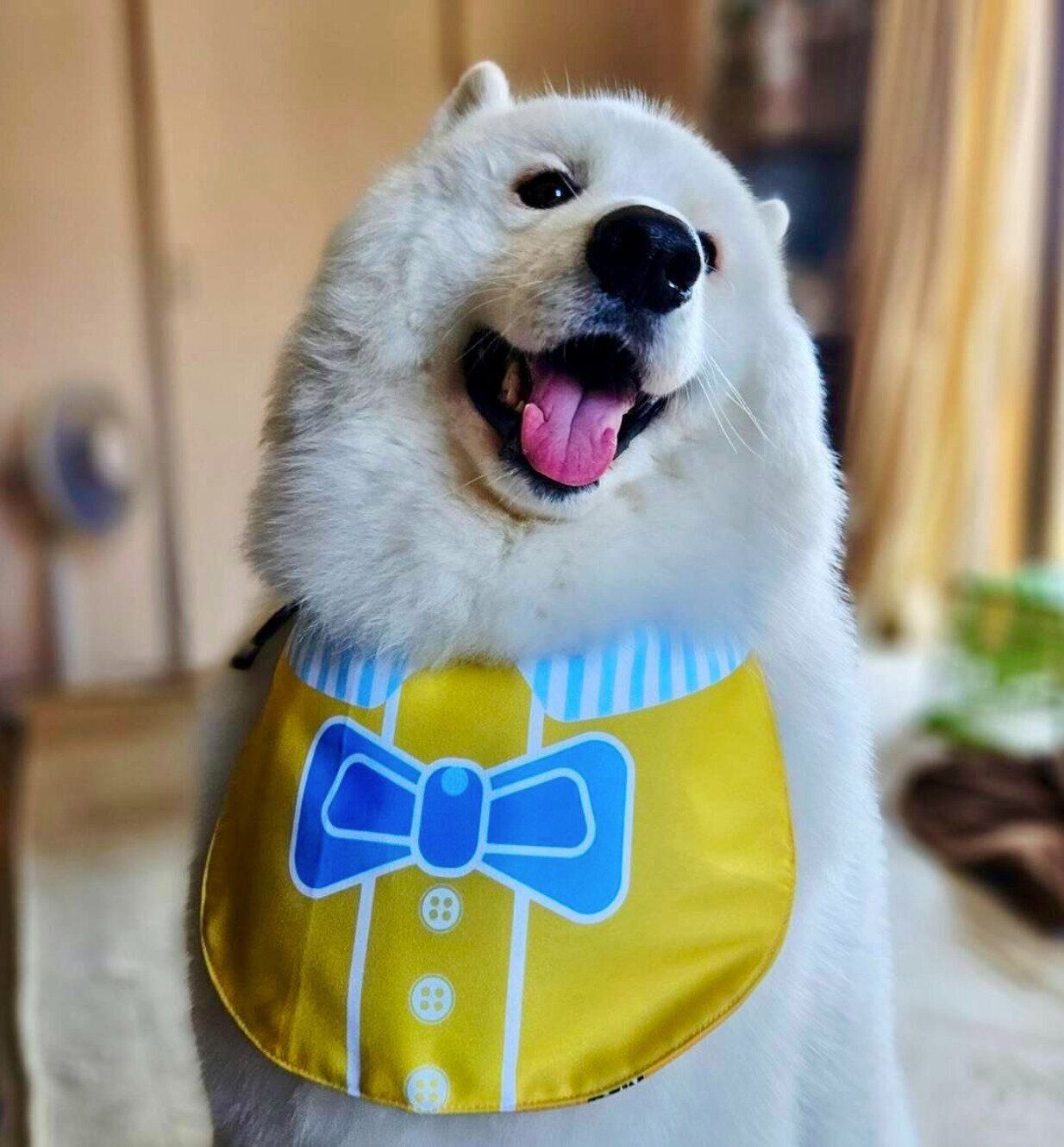 ニコッとするフクくん