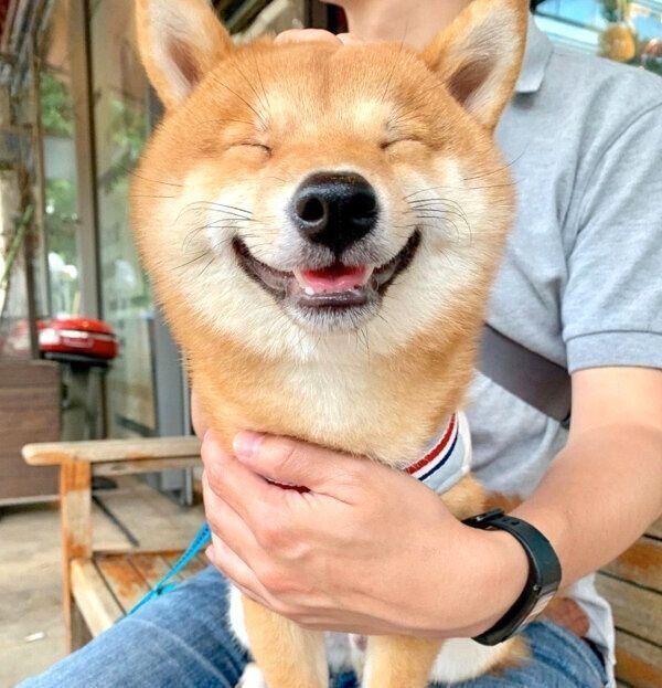 笑顔のうにくん