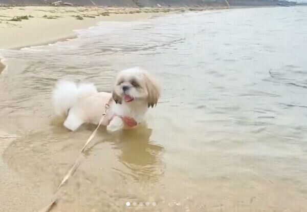 海が大好きなつぶちゃん