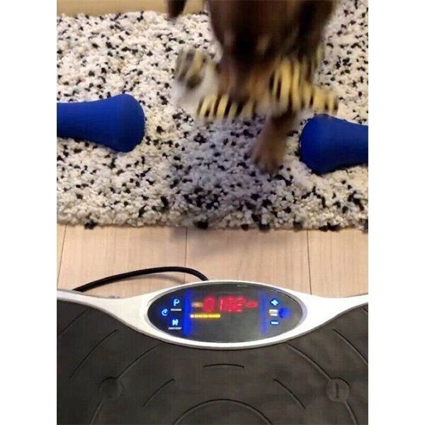 ぶるぶるマシンの上にぬいぐるみを落とす朔太郎くん