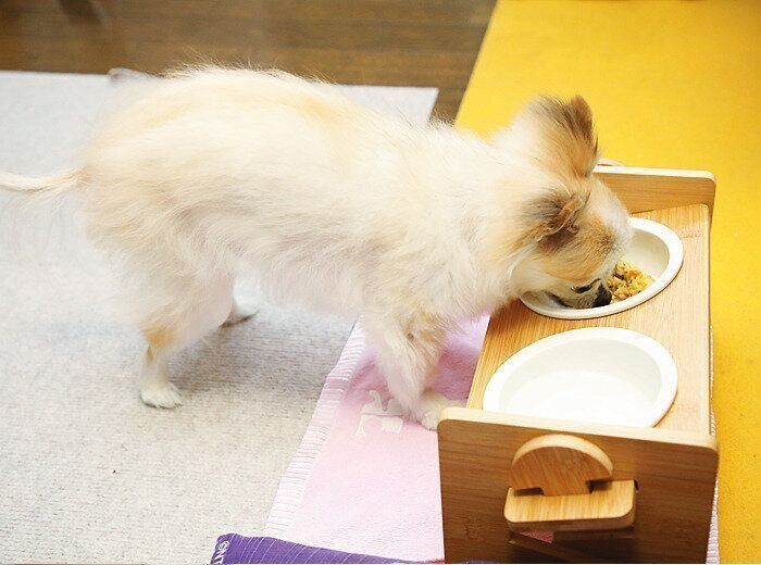 アレルギーによる膿皮症のため、フードやおやつはすべて手作り