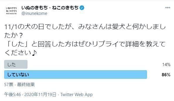 犬の日アンケート